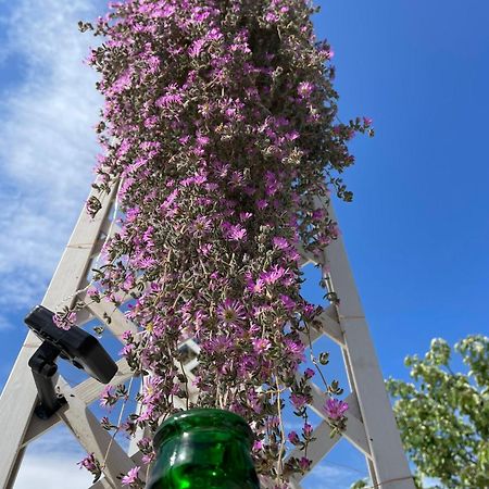 I Trulli Dei Nonni Evelin Villa Martina Franca Kültér fotó