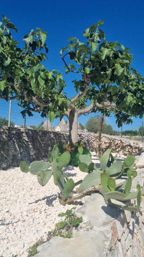 I Trulli Dei Nonni Evelin Villa Martina Franca Kültér fotó